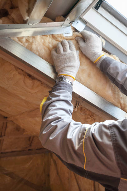 Best Insulation Contractors for Homes  in Richmond Heights, OH