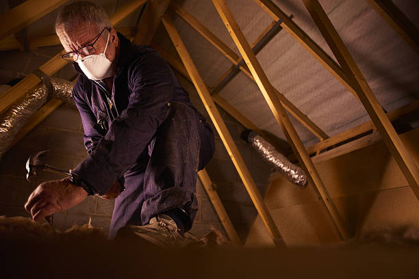 Best Home Insulation Services  in Richmond Heights, OH
